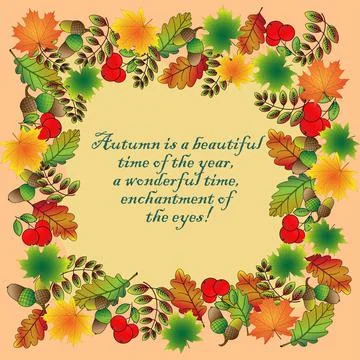 Autumn frame with elements of forest flora Stock Illustration