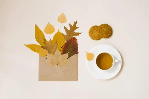 Autumn frame of the flat composition lay on a light background. Fallen leaves 写真素材