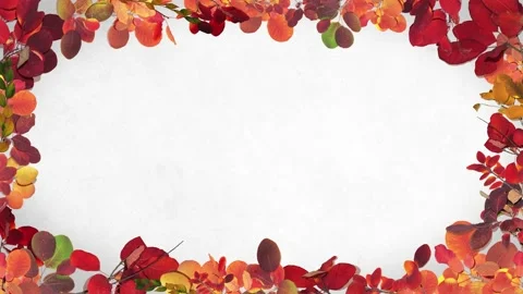 Autumn Frame Stock Footage 201080938