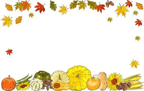 Autumn frame isolated on white background. Pumpkins, leaves. Stock Illustration