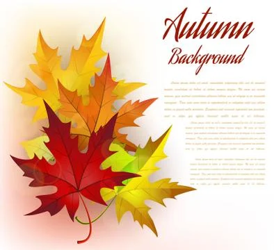 Autumn Frame With Leaves Illustrazione stock