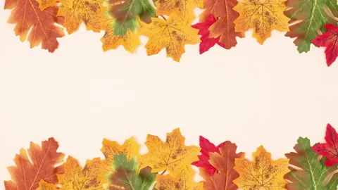 Autumn frame with leaves on light theme for text. Stop motion Stock Footage 166208250