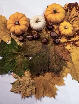 Autumn frame made of knitted leafs oak and maple orange pumpkins on grey back Foto stock