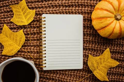 Autumn frame made of pumpkin, notebook, cup of coffee and fallen leaves on br Foto stock
