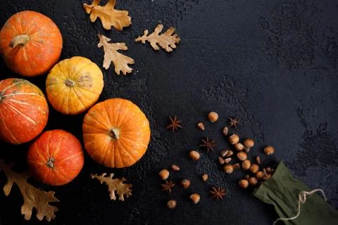 Autumn frame made of pumpkins, tree leaves, hazelnuts on black background. Au Stock Photos