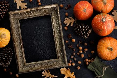 Autumn frame made of pumpkins, tree leaves, hazelnuts on black background. Au Stock Photos