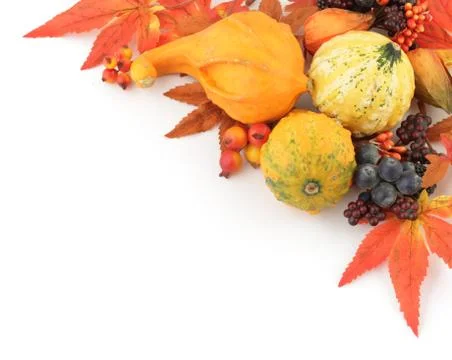 Autumn frame Stock Photos