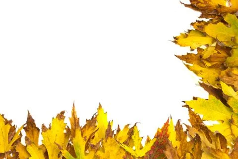 Autumn frame Stock Photos