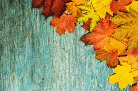 Autumn frame Stock-Fotos