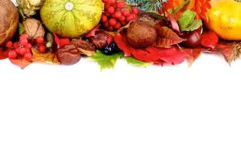 Autumn Frame Stock Photos