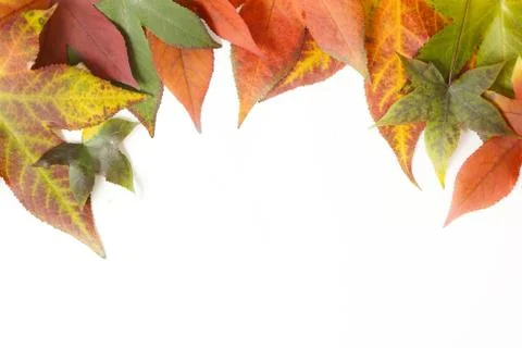 Autumn frame Stock Photos