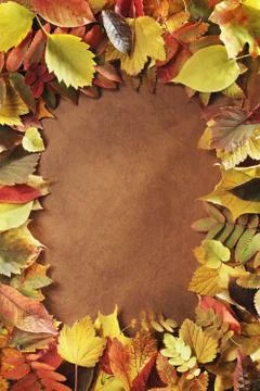 Autumn frame Stock Photos