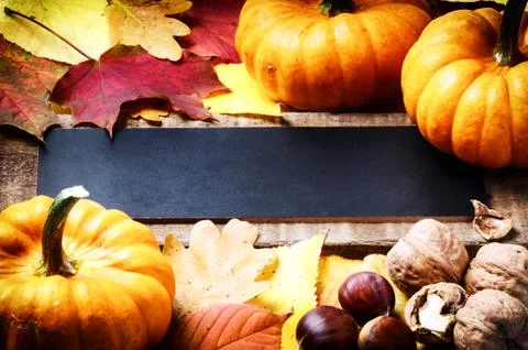 Autumn frame with pumpkins Stock-Fotos