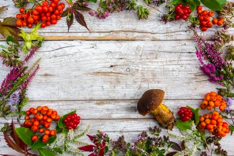 Autumn frame with space for text. Stock Photos