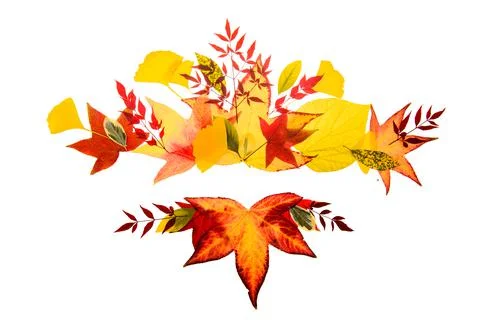 Autumn frames borders. Fall leaf banner. Frame for sale. Thanksgiving background Stock Photos