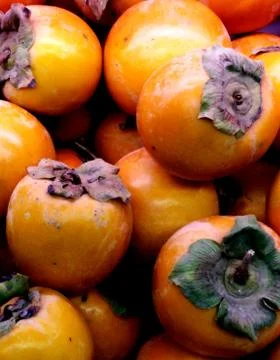 Autumn fruit persimmon orange Stock Photos