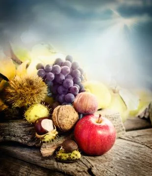 Autumn fruit Stock Photos
