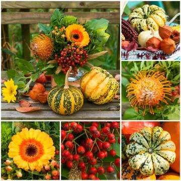 Autumn fruits collage Stock Photos