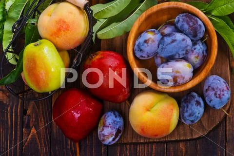 Autumn fruits Stock Photos