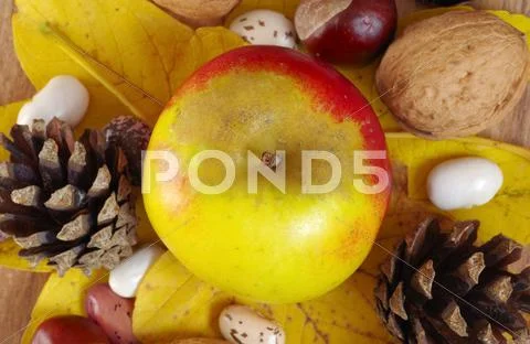 Autumn fruits on a table Stock Photos