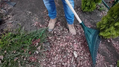 Autumn Garden Cleanup with Rake Stock Footage 305088862