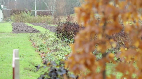 Autumn garden focus shift Stock Footage 57769092