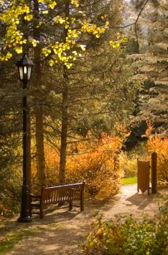 Autumn gate Foto stock