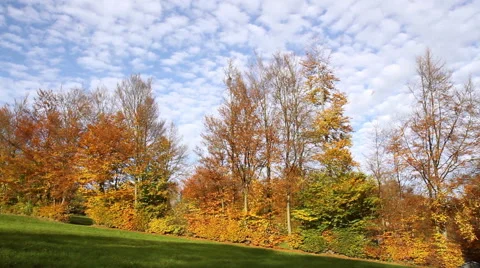 Autumn in Germany. Stock Footage 43290884