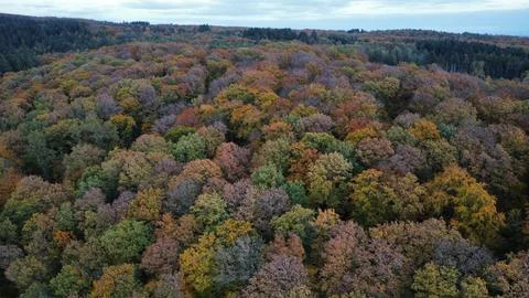 Autumn in Germany Stock Photos