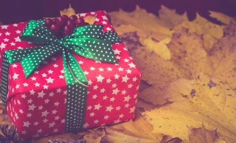 Autumn gift background Stock Photos