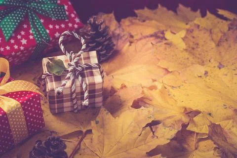 Autumn gift background Foto stock