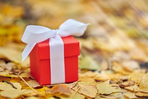 Autumn gift box Stock Photos