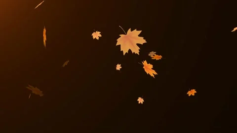 Autumn gold leaf flow animation. Video stock 158671162