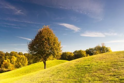 Autumn golf course 스톡 사진