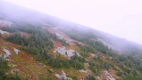 Autumn in Gorgan (Carpathians) from a drone Vídeos de archivo 171445948