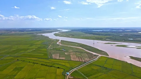 Autumn grain rice fields, rivers - Yellow River plain fields Stock Footage 257989897