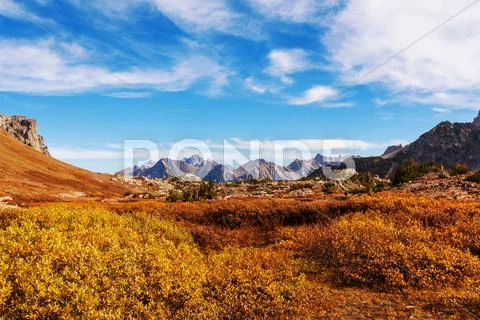 Autumn in Grand Teton Stock Photos