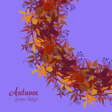 Autumn grape vine Stock Illustration
