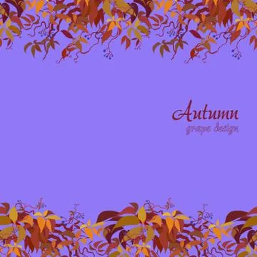 Autumn grape vine Stock Illustration