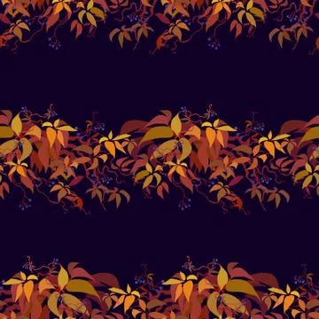 Autumn grape vine Stock Illustration