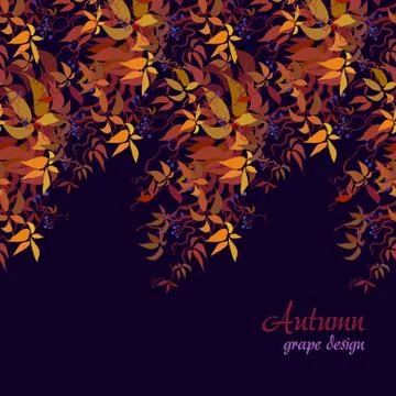 Autumn grape vine Stock Illustration