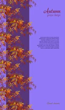 Autumn grape vine Stockillustratie