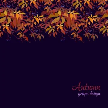 Autumn grape vine Stock Illustration