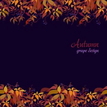 Autumn grape vine Stock Illustration
