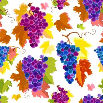 Autumn Grapes Seamless Pattern Stock Illustration