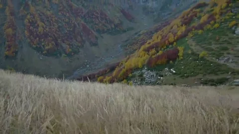 Autumn grass field in the mountains Vídeos de archivo 69105910