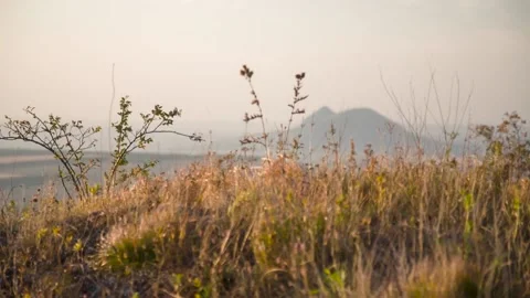 Autumn grass on a mountain background Stock Footage 149154257