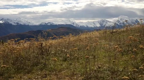 Autumn grass in the mountains Vídeo Stock 56905037