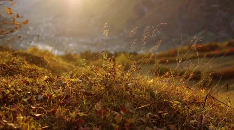 Autumn grass in the mountains sunset 스톡 동영상 60592929