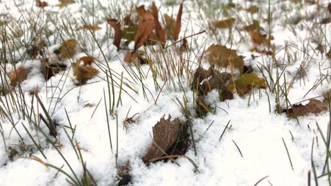 Autumn grass with the snow Stock Footage 162940569